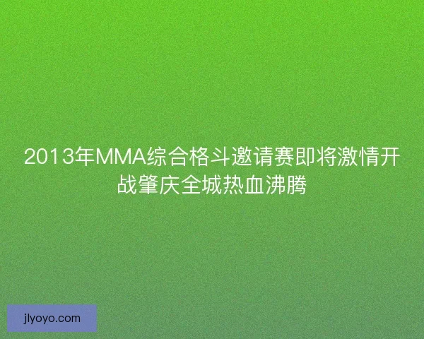 2013年MMA综合格斗邀请赛即将激情开战肇庆全城热血沸腾